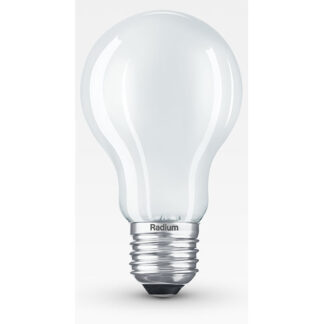 LED Leuchtmittel E27 matt oder klar