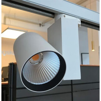 Spotleuchte SAMARA LED 30W 940 40° grau